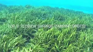 Top 5! Florida Springs Camping Spots