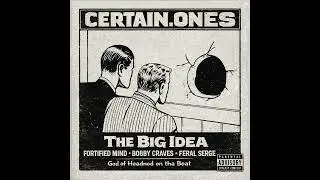 Certain ones   The Big Idea feat  Fortified Mind, Bobby Craves, Feral Serge & God of Headnod