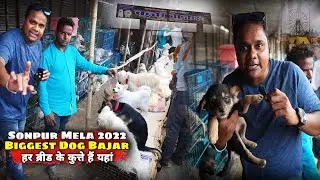Sonpur Mela 2022 | Dog Market In Sonpur Mela | Syed Saheb Ali Vlogs | Matargashti