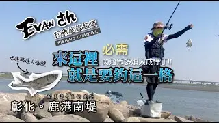 【彰化 / 鹿港南堤 】就是要一直釣魚趣 - 一隻要開三槍才起來的魚