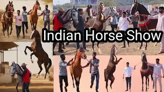 ૧૭મો કામા’અશ્વ પ્રદર્શન અને રમતોત્સવ વાંકાનેર | part 2 Kama’Horse Show and Sports Festival  Wankaner