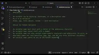 (4) Common Python Variable Naming Mistakes