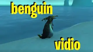 benguin vidio