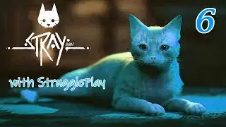 Stray  #6: Der letzte Energy Drink