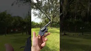 1970s cop revolver status