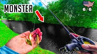 🎣What MONSTERS are swimming here? - USA Series 6/6