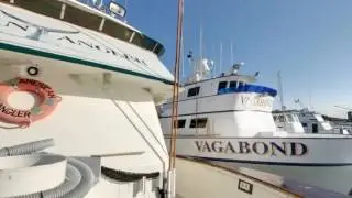 Point Loma Sportfishing | San Diego, CA | Charter Fishing