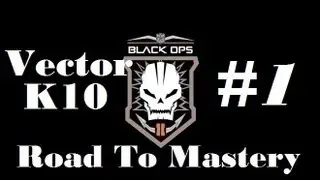 Call of Duty Black Ops 2: Road to Mastery | Vector K10 Game 1