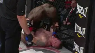Bellator 172: Cheick Kongo Highlight Reel