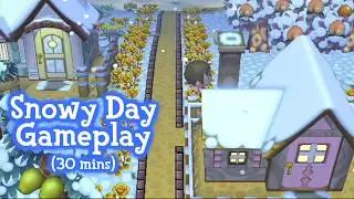 ACCF - Snowy Day Gameplay Session 30 mins (Animal Crossing: City Folk)