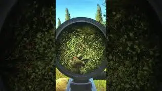ESCORT QUEST TARKOV Finished! #tarkovgameplay #eftmemes #tarkovclip #fps #memes #tarkov #clips