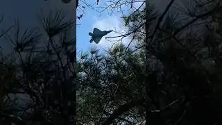 F-22 Raptors Hauling &bull; Bad To The Bone &bull; George Thorogood  #shorts #aircraft #military #plane #sky