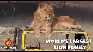 Land Of Lions #Sideturkey2024 By  