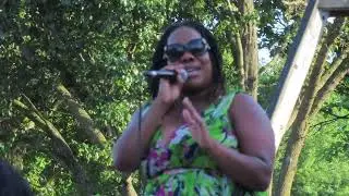 July 3, 2024 KCPL Arts In The Park  Best Kept Soul Perform Rufus' 