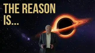 Sir David Attenborough: WHY ABSOLUTE REST IS IMPOSSIBLE IN OUR UNIVERSE