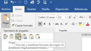 Word y Excel- Pegado especial