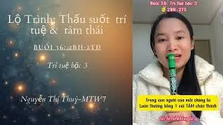 Buổi 36: Tr&iacute; tuệ bậc 3✌️2BH-2TĐ: Vạn vật c&oacute; T&Iacute;NH KH&Ocirc;NG, con người c&oacute; T&Aacute;NH KH&Ocirc;NG