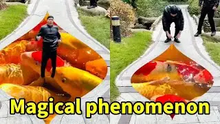 A fish pond suddenly appeared on the ground#happy #funny #magic