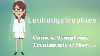 Leukodystrophies - Causes, Symptoms, Treatments & More…