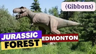 Jurassic Forest || Jurassic Forest in Gibbons Alberta || Jurassic Forest Edmonton