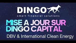 MISE &Agrave; JOUR SDAM, BRIDGE COIN DBV, DINGO CAPITAL & OPPORTUNIT&Eacute;S INTERNATIONAL CLEAN ENERGY (ICE)