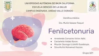 Fenilcetonuria (Trastornos Genéticos del Metabolismo)