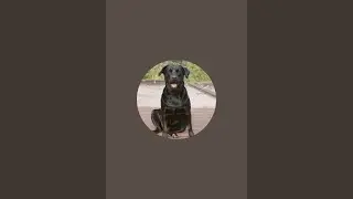 labra honey  is live!