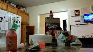 Elf on the shelf moving in cereal box