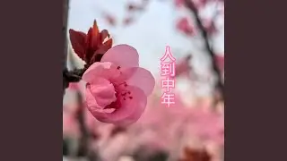 人到中年 (重置版)