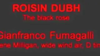 ROISIN DUBH (Gene Milligan D tin whistle)