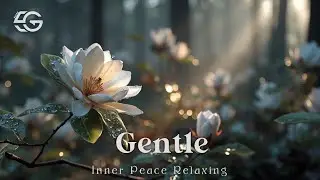 Gentle Acoustic Guitar Music ~ Inner Peace & Relaxation | Sleep Aid & Focus