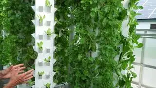 Beyond Organic Growers Edit