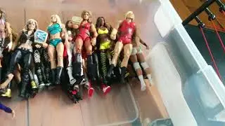 WWE women figure collection update