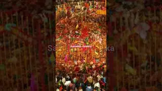 Samakka sarakka #trending #jathara #devotional #medaramjathara