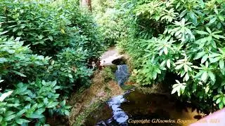 Compton Acres Gardens, August 2018,  Canford Cliffs road, Poole, Dorset  BH13 7ES  England. ( 3 )
