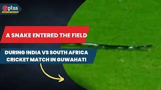 A Snake Entered The Field During India Vs South Africa Cricket Match In Guwahati | G Plus