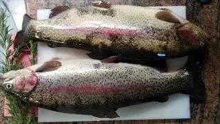 PULIRE LA TROTA SALMONATA  PER LA COTTURA