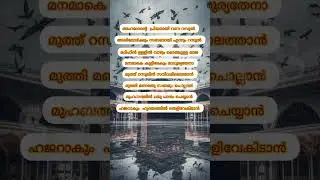 അഹദോന്റെ സ്നേഹം 🥺🤲#shortsfeed #religoussongs #islamicpilgrimage #islamicholysite #muhammadﷺ