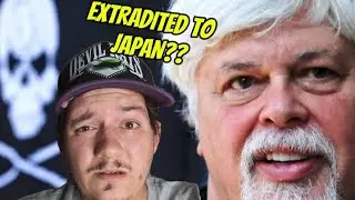 Whale Wars Paul Watson Extradited to Japan