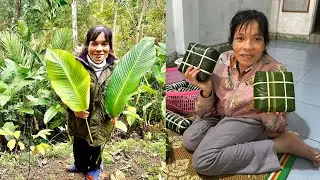 Go get Dong leaves to sell and wrap banh chung for Tet