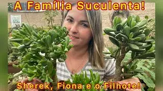 À família Suculenta! Sherek, Fiona e o filhote!
