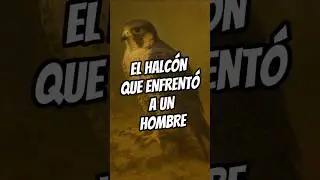 &iquest;Qui&eacute;n caraj$s es DAVID (EL HALC&Oacute;N)? Diccionario de La Torre Oscura I #stephenking #latorreoscura