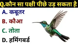 UPSC & IPS Level GK Questions | Most Unusual General Knowledge