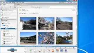 View photos in Picasa