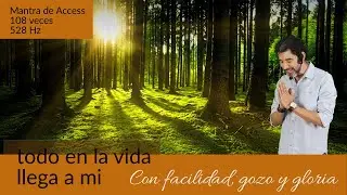 Mantra para atraer dinero, prosperidad y alejar energ&iacute;as negativas. Mantra de Access 108 veces 528Hz