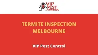 Termite Inspection Melbourne - Professional Termite Inspections