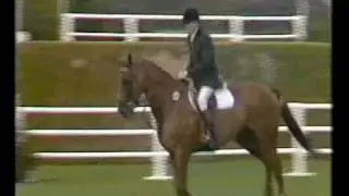 Kieran Rooney (IRL) & Hyland Serpent (ISH) - 1986 Hickstead Derby