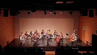G. Ph. Telemann Viola Concerto 3mov. Andante [박용은/I.M strings]