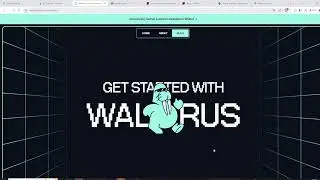 Walrus гемище на Sui. Теснет инструкция.