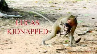 Heart breaking to see Lucas kidnapped by Amara again, Lucas try escape fail again and again.